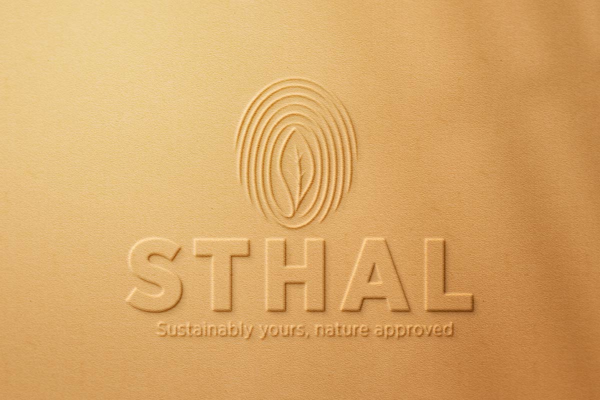 Biodegradable Food Containers Manufacturer logo sand art logo